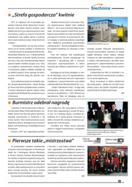 Gazeta Gminna 62011 strona 3